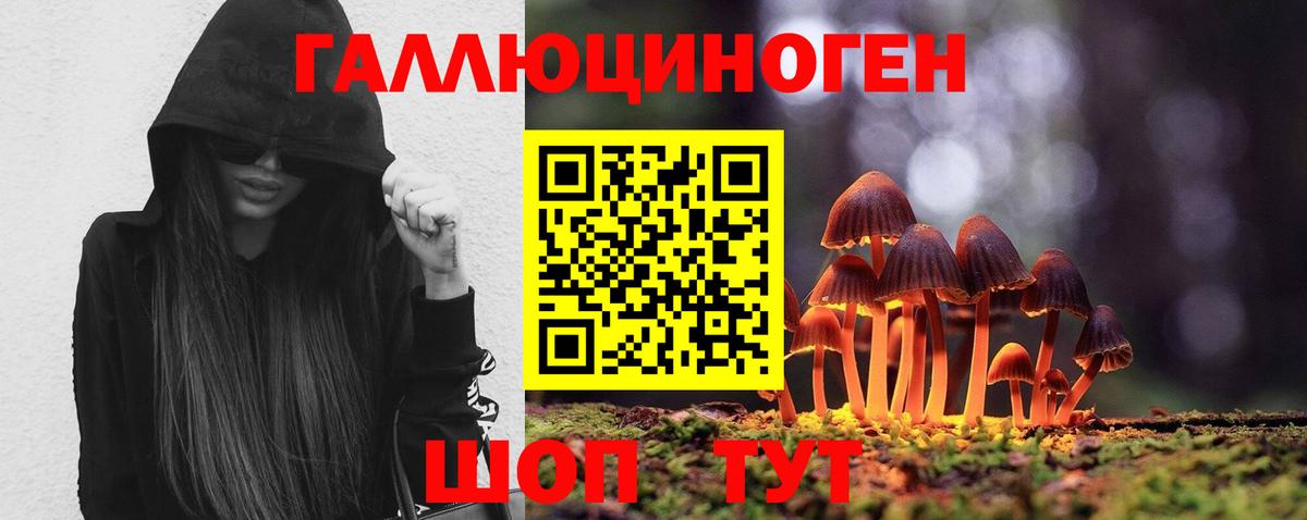 Псилоцибиновые грибы Magic Shrooms  Галлюциногенные грибы Psilocybine cubensis  Вход с VPN  Гусь-Хрустальный 
