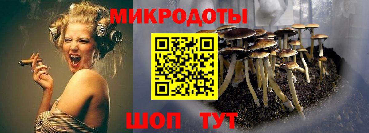 Галлюциногенные грибы мухоморы Гусь-Хрустальный